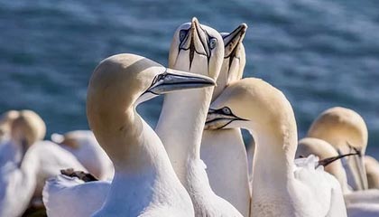 开云官网登录-_未来电子竞技+体育：虚实结合的全新体验_，电子竞技未来的趋势