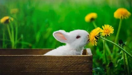 开yun体育-【全景直播平台】多角度观看精彩比赛瞬间，vr全景直播